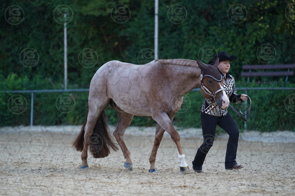 s_A9_09316.jpg